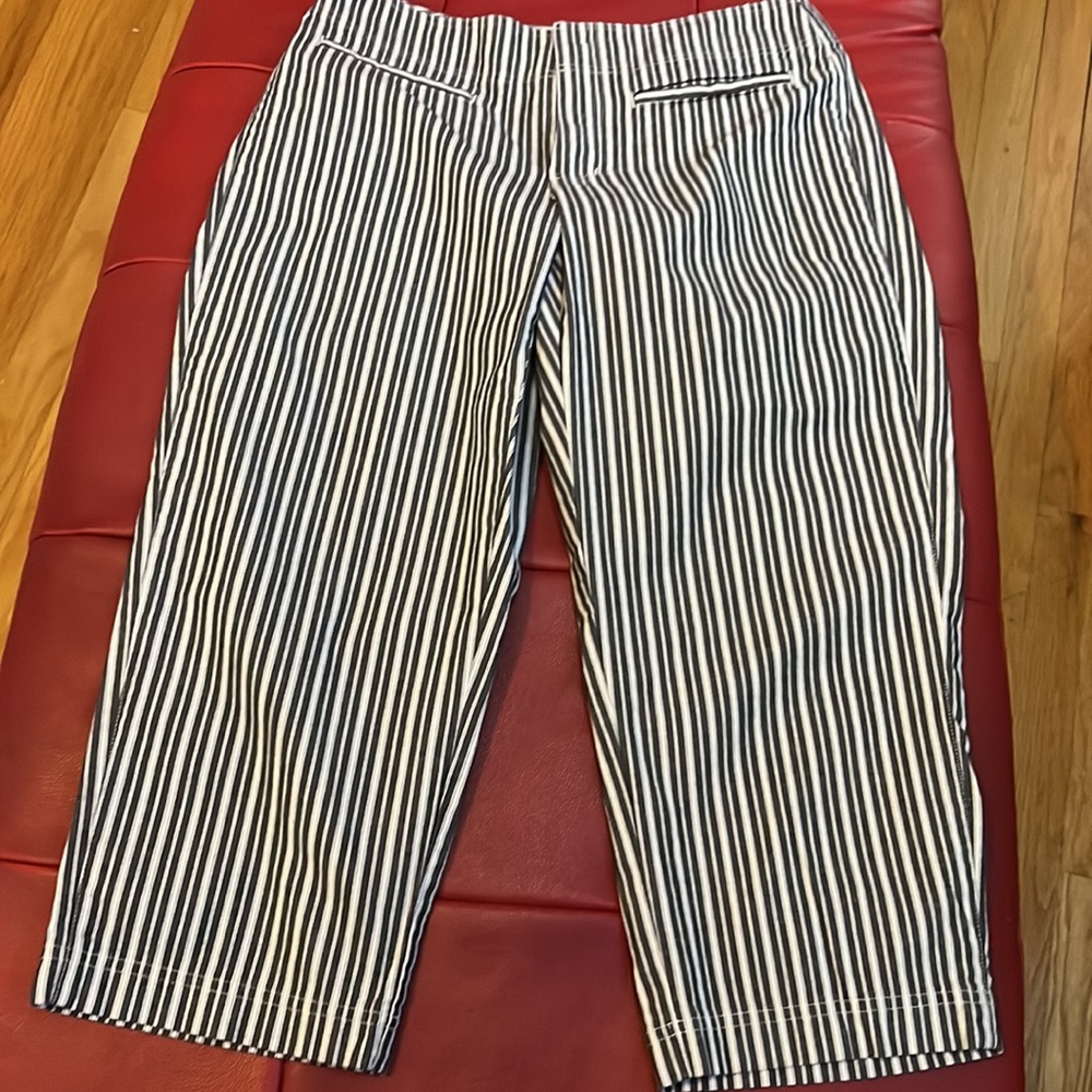 EUC Liz Claiborne cropped pants size 10 Michaela style Lizwear Jeans